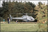 Ferna Shoe-4.jpg
