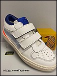 IMG_2477.jpg